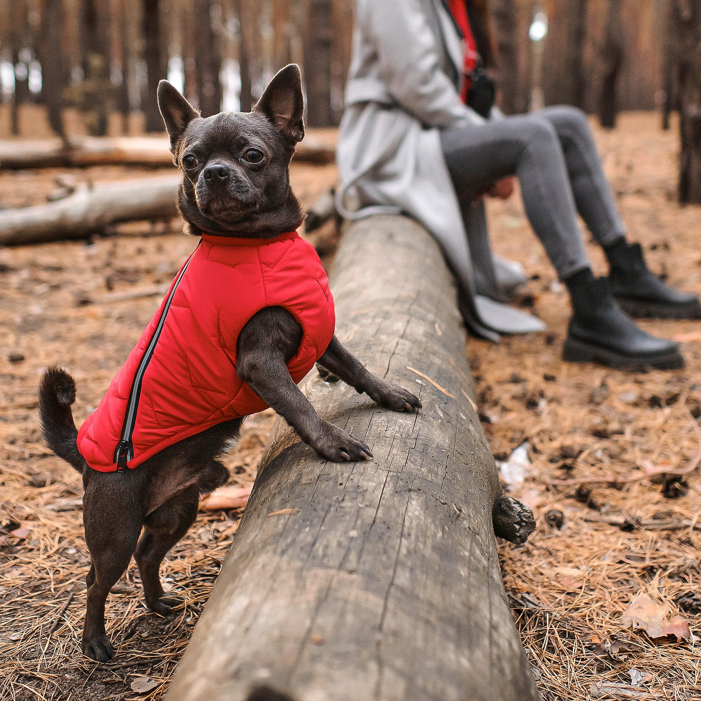 Bonne et Filou Sustainable Eco-Friendly Dog Jacket / Vest