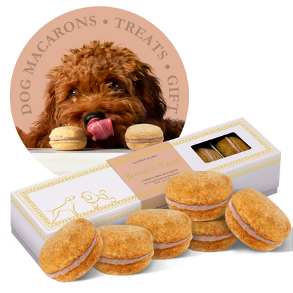 Bonne et Filou Dog Macarons (Count of 6)