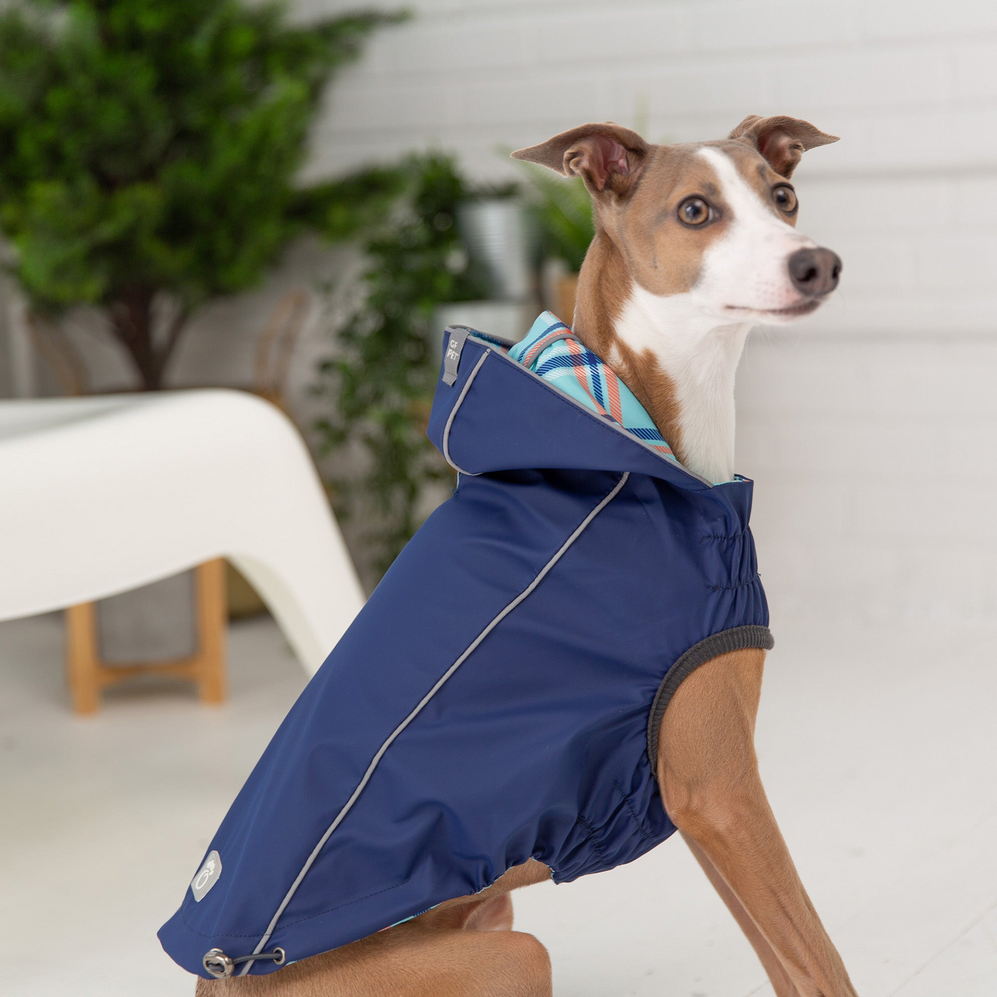 Reversible Elasto-Fit Dog Raincoat - Navy