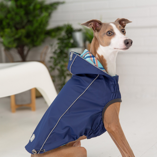 Reversible Elasto-Fit Dog Raincoat - Navy | GF Pet