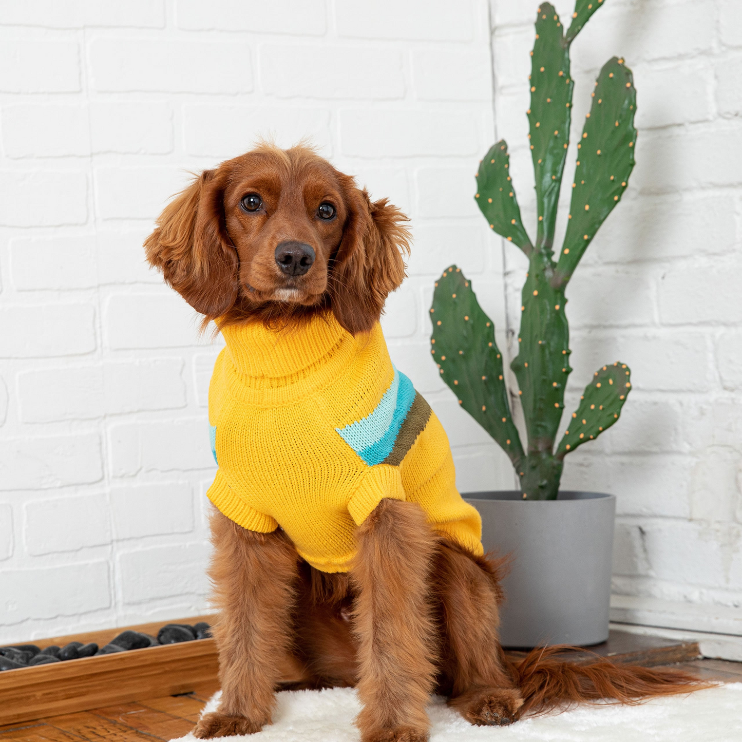 Alpine Dog Sweater - Yellow