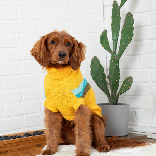 Alpine Dog Sweater - Yellow | GF Pet