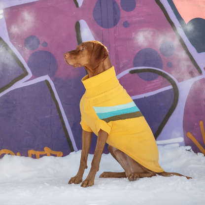 Alpine Dog Sweater - Yellow