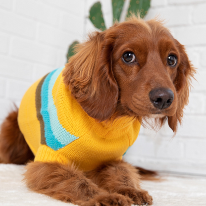 Alpine Dog Sweater - Yellow