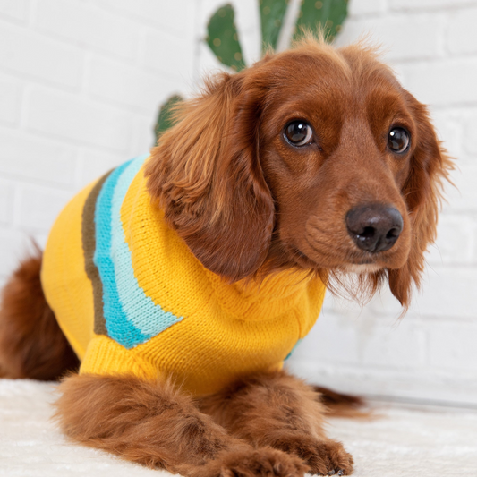 Alpine Dog Sweater - Yellow | GF Pet