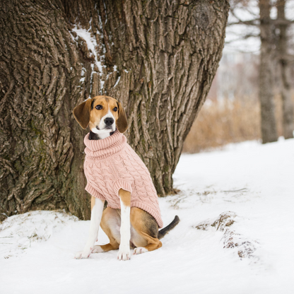 Stay Cozy in Pink: Introducing the Chalet Sweater