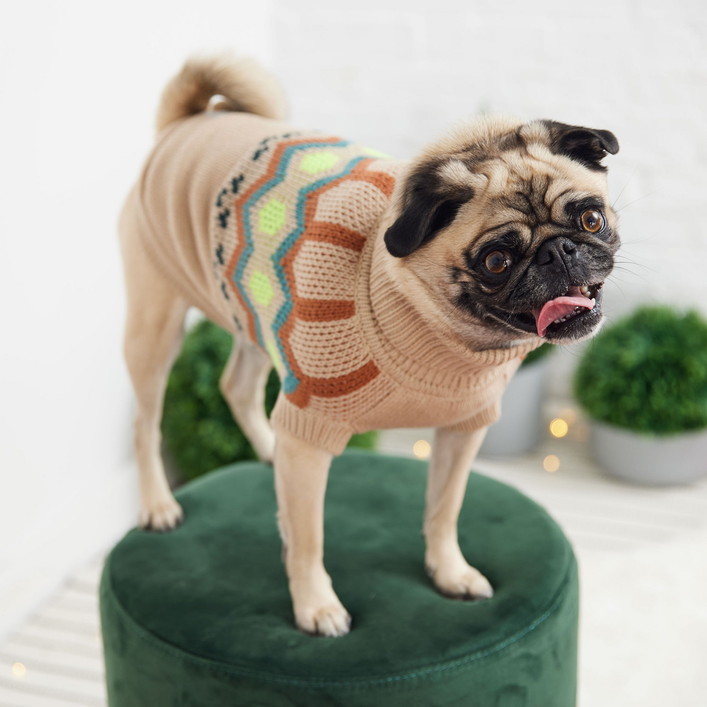 Heritage Dog Sweater