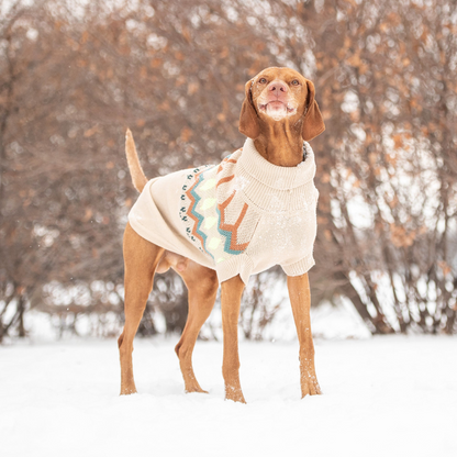 Heritage Dog Sweater