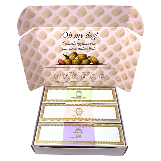 Bonne et Filou Dog Macaron Combo Gift Box (18 French Dog Macarons)