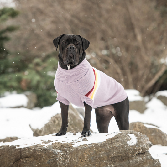 Retro Dog Sweater - Lavender | GF Pet