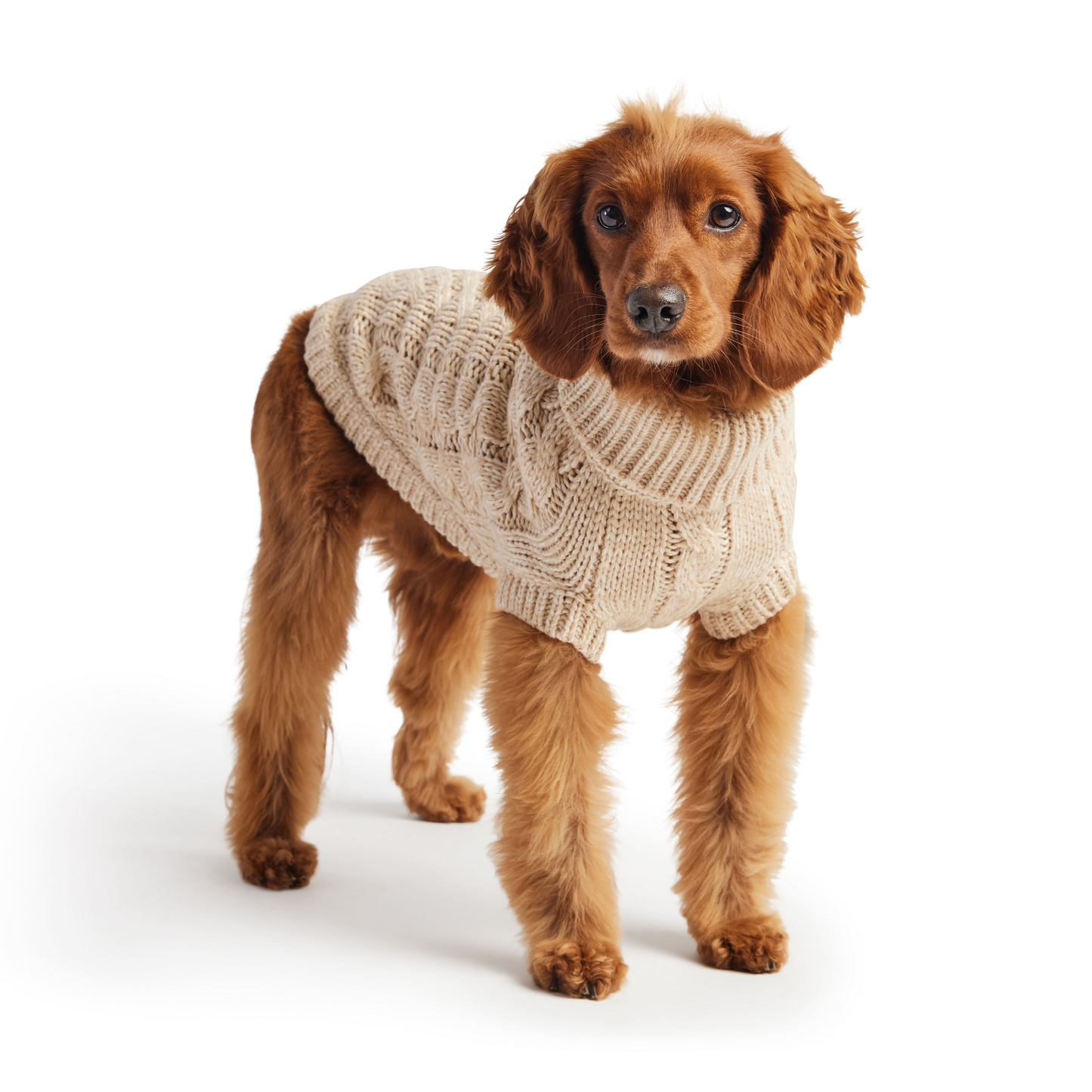 Chalet Sweater - Cozy Up Your Pup in Timeless Luxury