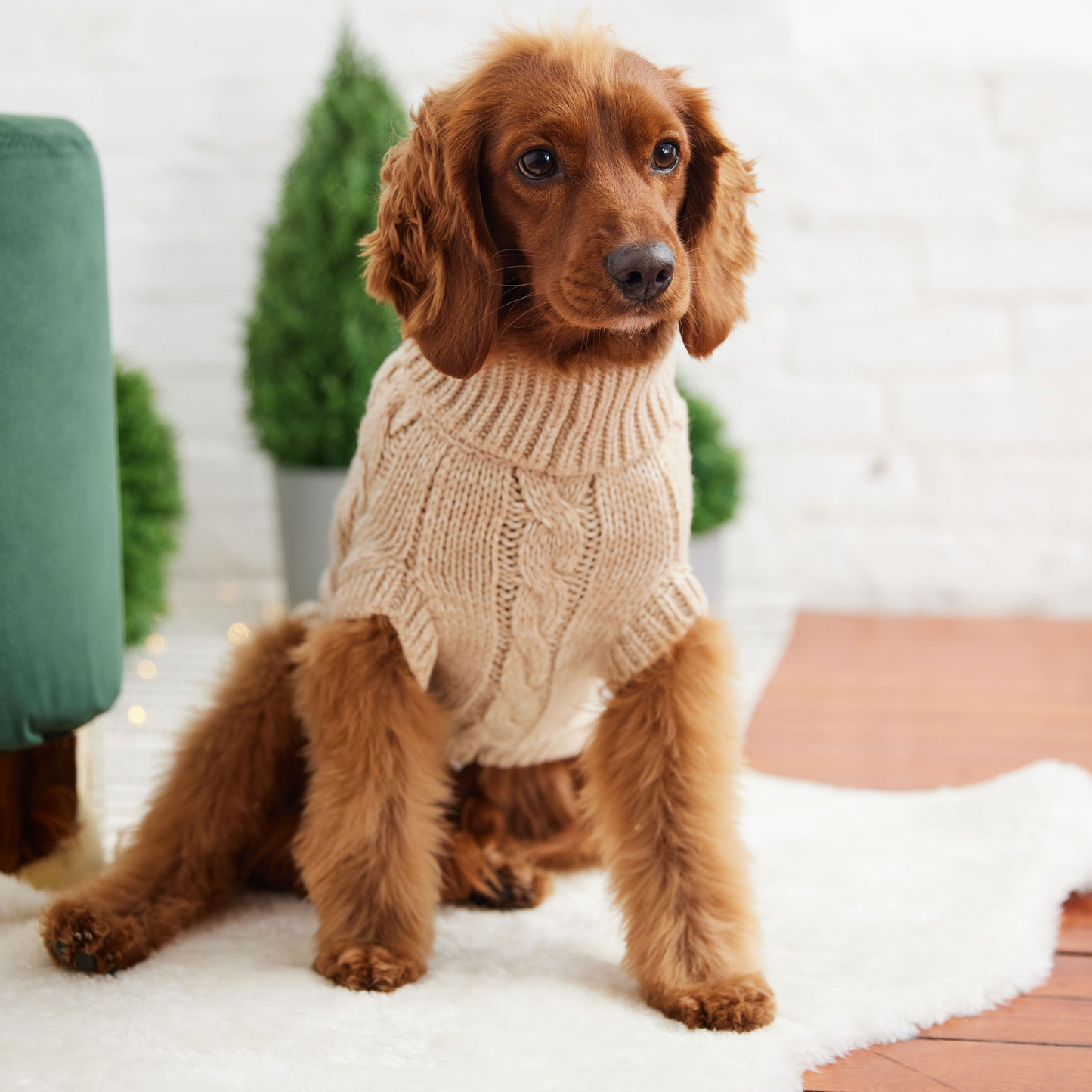 Chalet Sweater - Cozy Up Your Pup in Timeless Luxury