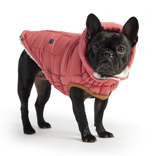 Parka GF Pet Super Puff - Rosa