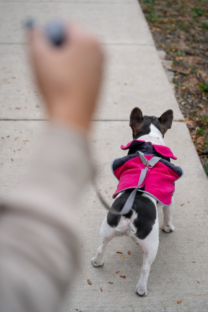 2-in-1 Thermal Dog Fleece Jacket with Integrated Harness - Fuschia