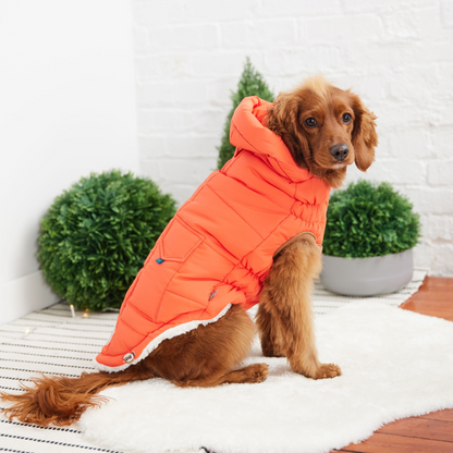 Super Puff Dog Parka - Orange