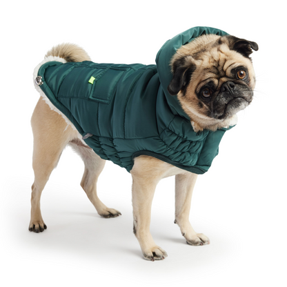 Super Puff Dog Parka - Teal