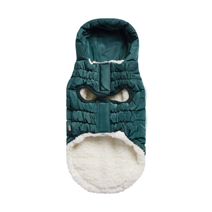 Super Puff Dog Parka - Teal