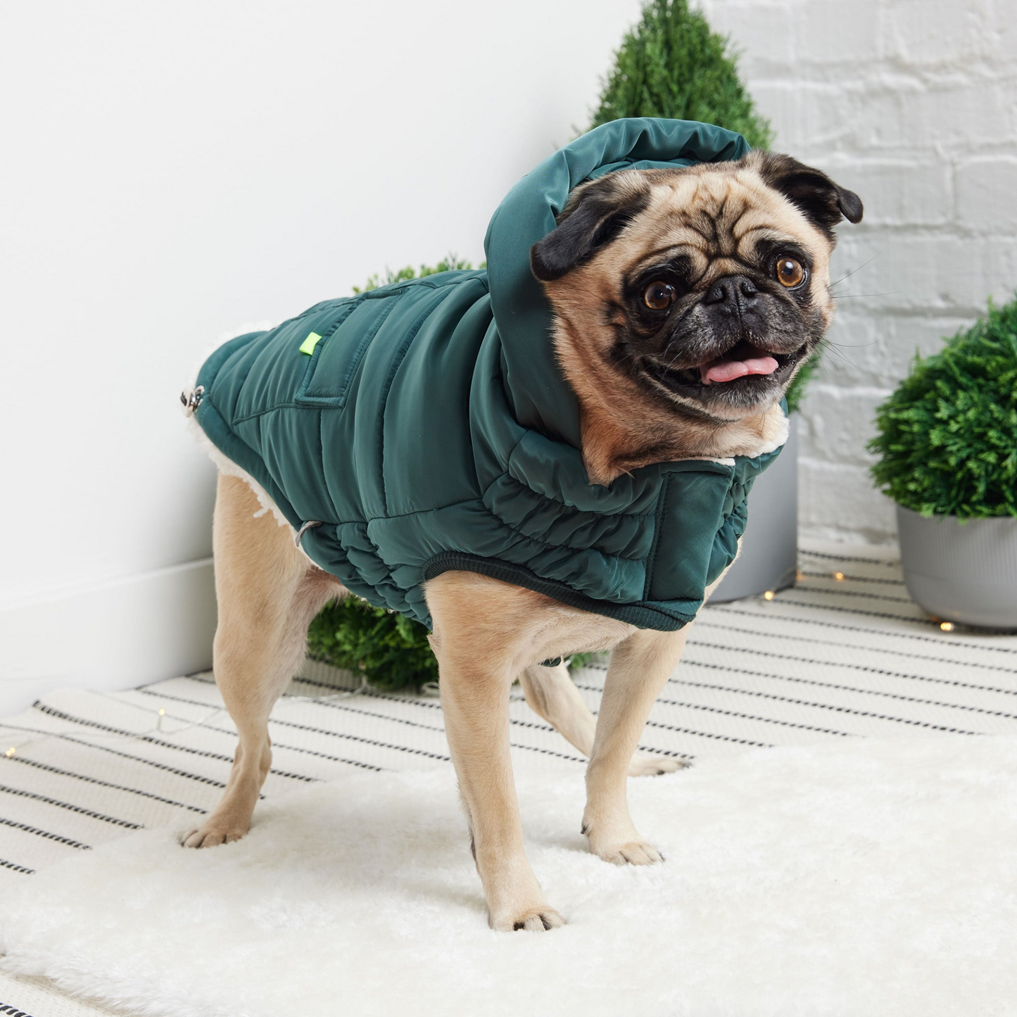 Super Puff Dog Parka - Teal