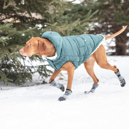 Super Puff Dog Parka - Teal