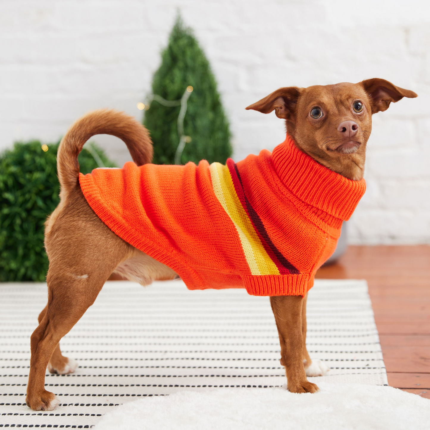 Jersey GF Pet Retro - Naranja