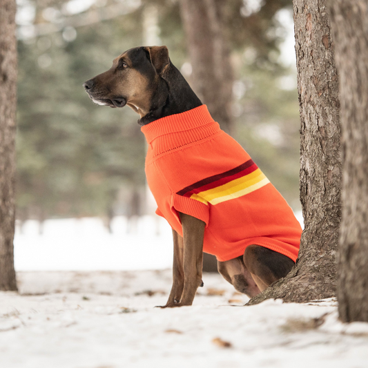 Retro Dog Sweater - Orange | GF Pet
