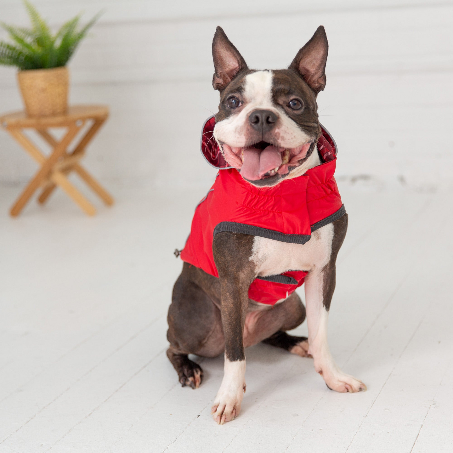 Reversible Elasto-Fit Dog Raincoat - Red