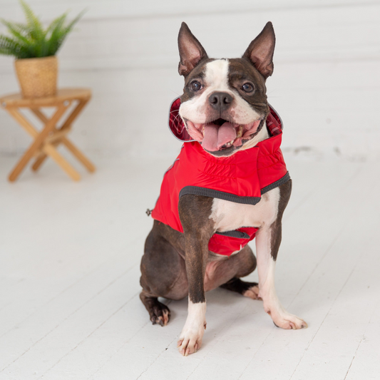 Reversible Elasto-Fit Dog Raincoat - Red | GF Pet