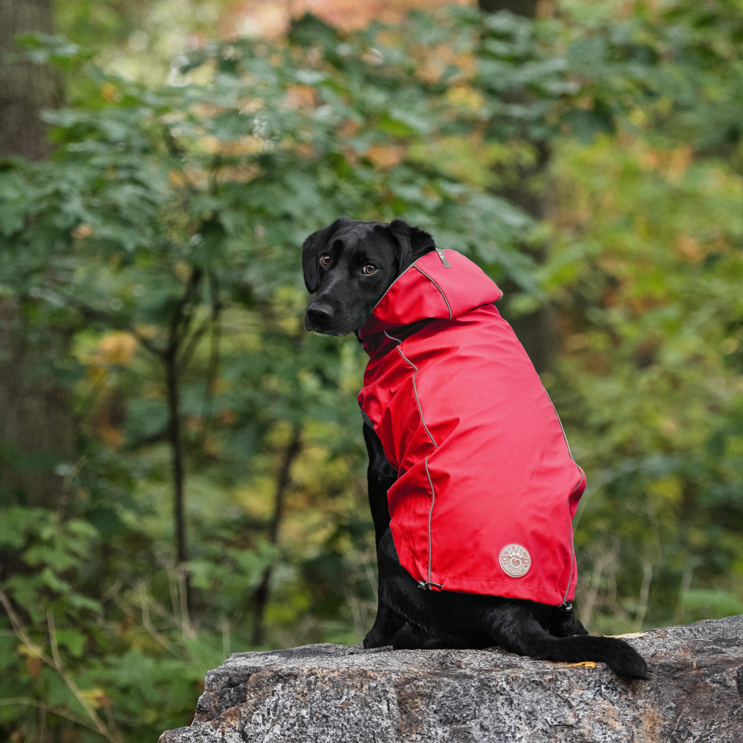 Reversible Elasto-Fit Dog Raincoat - Red