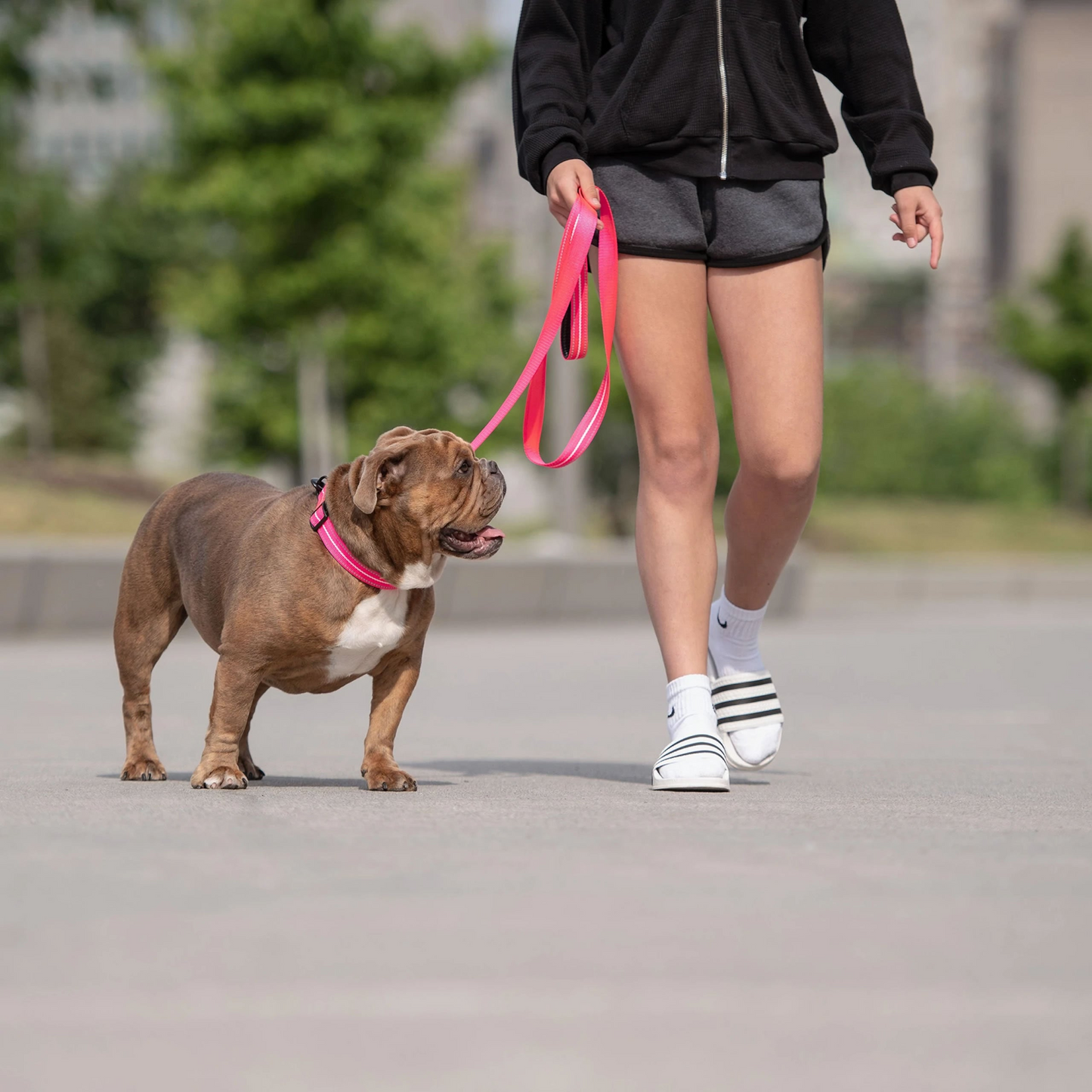 Reflective Dog Leash - Neon Pink