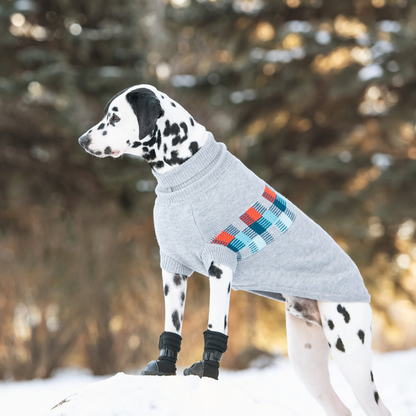 Winter Sailor Dog Sweater - Keep Your Pup Cozy in Retro Style