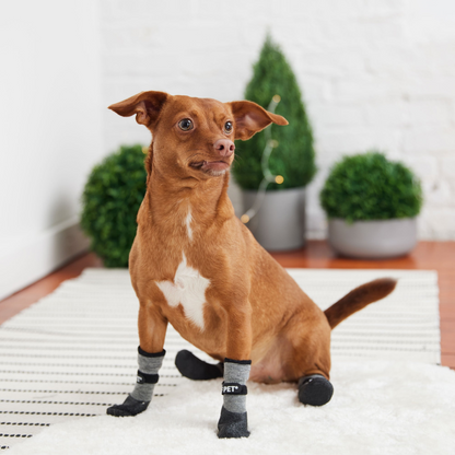 All Terrain Dog Boots - Charcoal