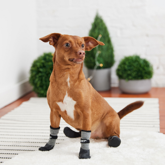 All Terrain Dog Boots - Charcoal | GF Pet