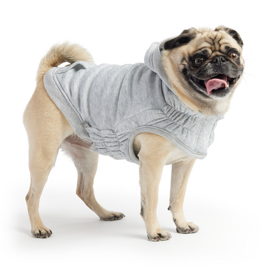 Urban Dog Hoodie - Heather Grey | GF Pet