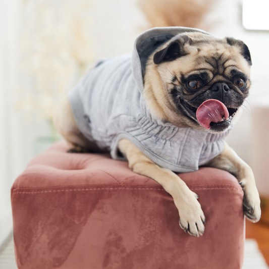 Urban Dog Hoodie - Heather Grey | GF Pet