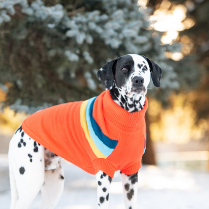 Stay Cozy in Style with the Alpine Sweater in Orange