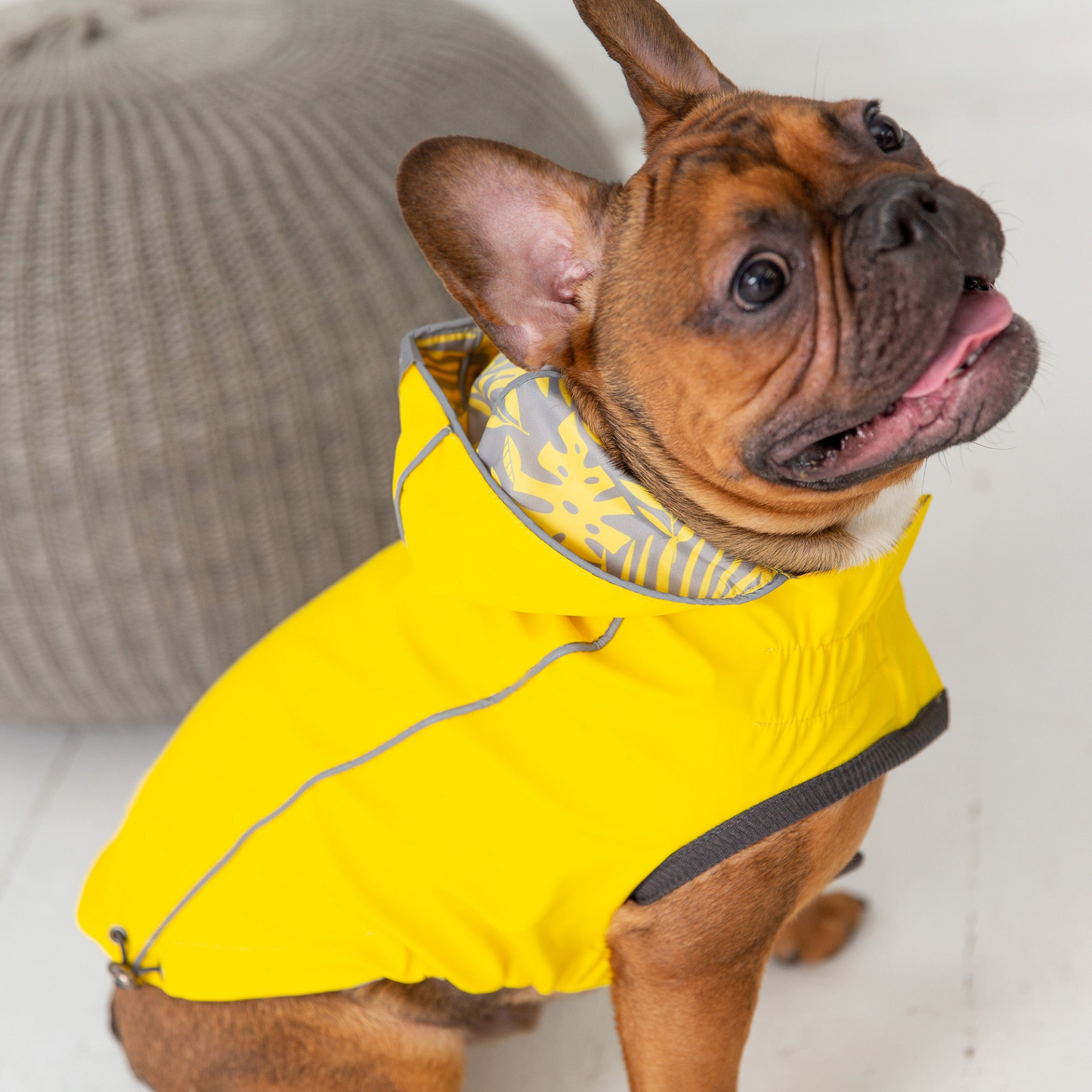 Chubasquero reversible GF Pet Elasto-Fit - Amarillo