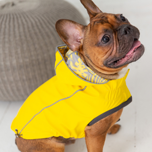 Reversible Elasto-Fit Dog Raincoat - Yellow | GF Pet