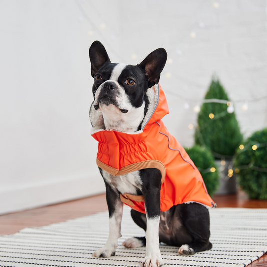 Insulated Dog Raincoat - Orange | GF Pet