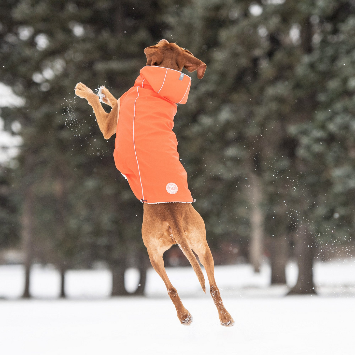 Insulated Dog Raincoat - Orange