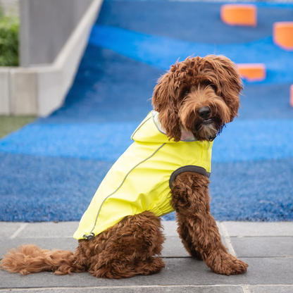 Chubasquero reversible GF Pet - Amarillo neón con teñido anudado