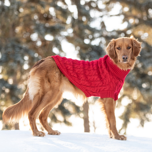 Wrap Your Pup in Luxury with Chalet Sweater in Rich Red | GF PET