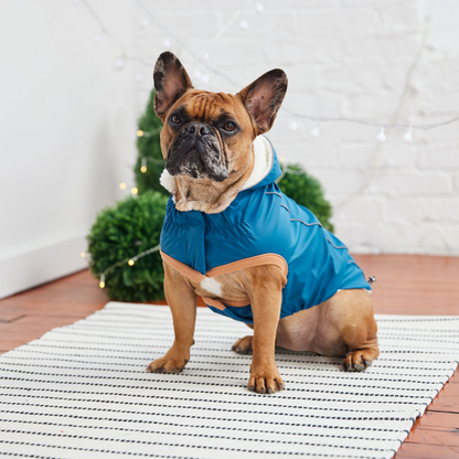 Insulated Dog Raincoat - Dark Blue