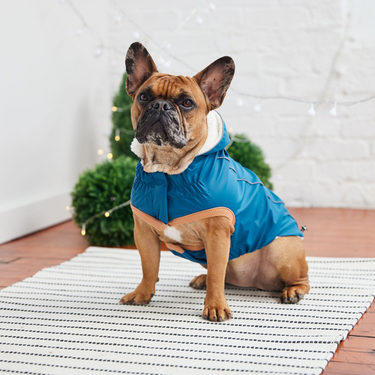 Insulated Dog Raincoat - Dark Blue | GF Pet