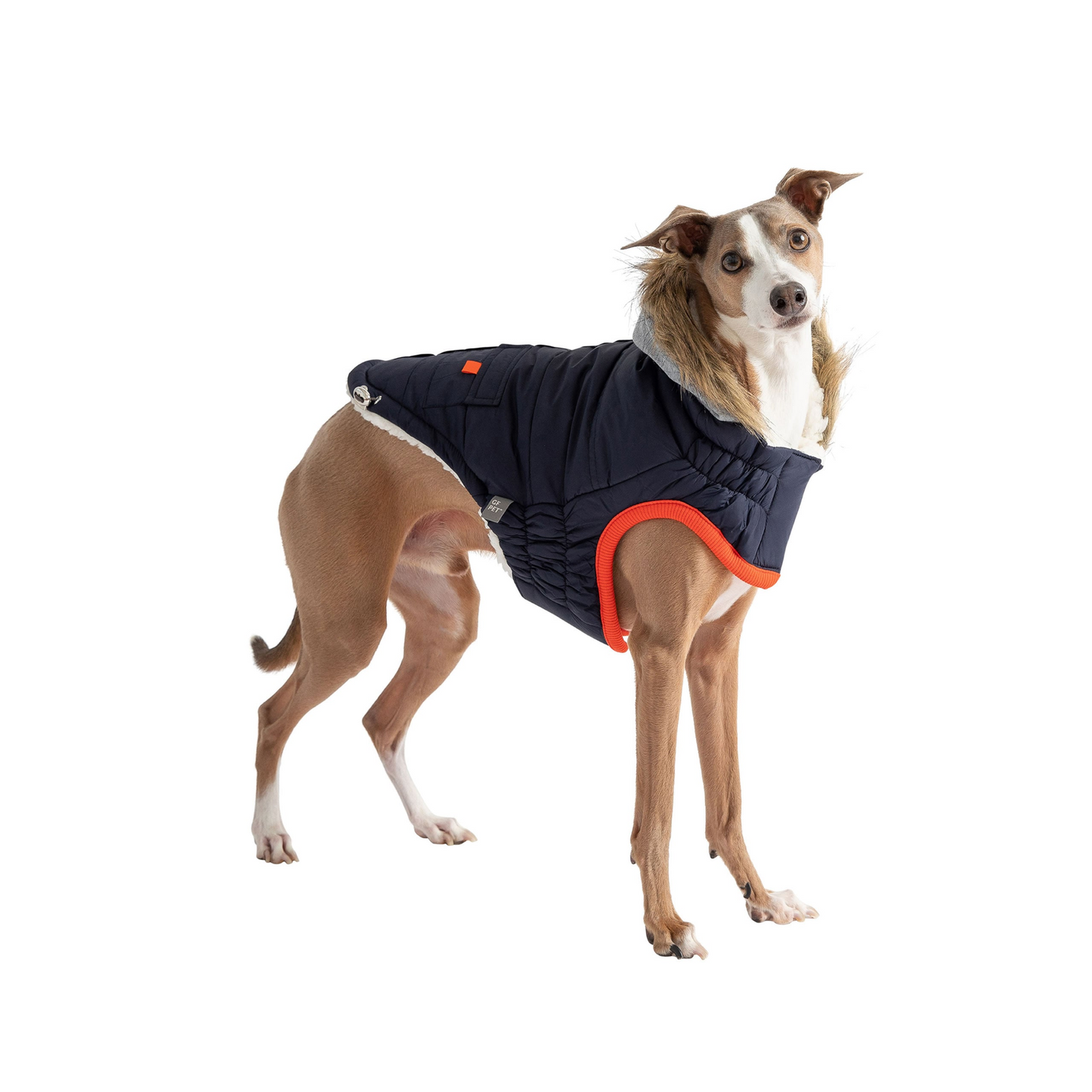 Winter Sailor Dog Parka - Navy