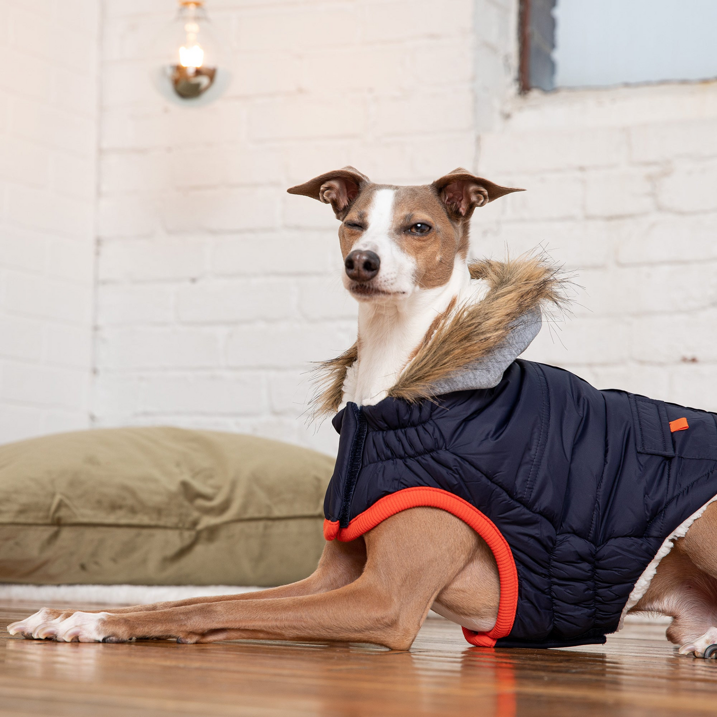 Winter Sailor Dog Parka - Navy