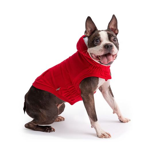 Urban Dog Hoodie in Vibrant Red | GF Pet