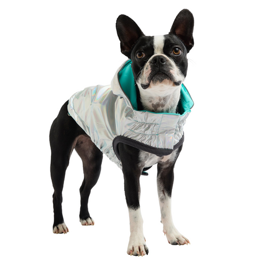 Reversible Dog Raincoat - Neon Aqua with Iridescent | GF Pet