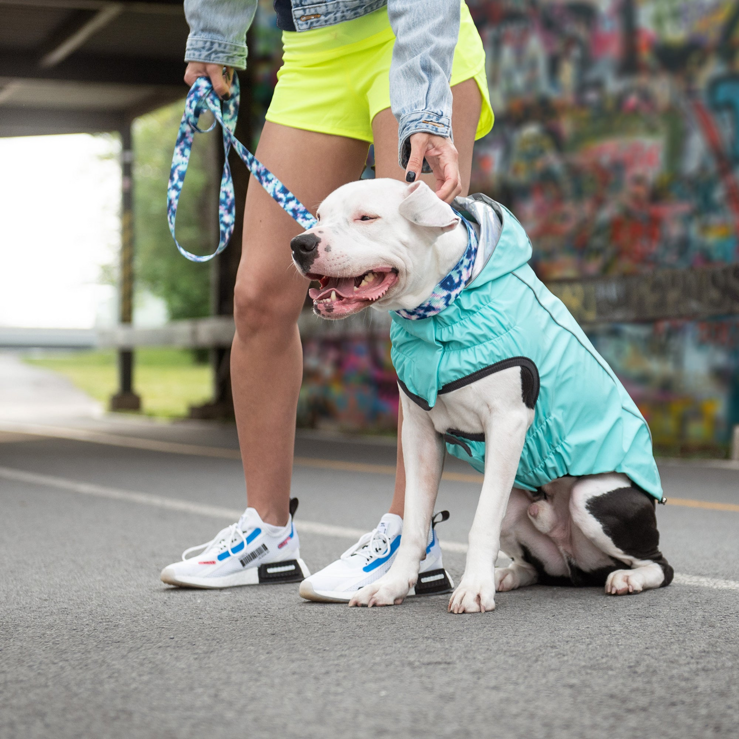 Reversible Dog Raincoat - Neon Aqua with Iridescent