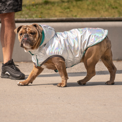 Reversible Dog Raincoat - Neon Aqua with Iridescent