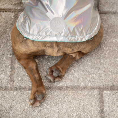 Reversible Dog Raincoat - Neon Aqua with Iridescent